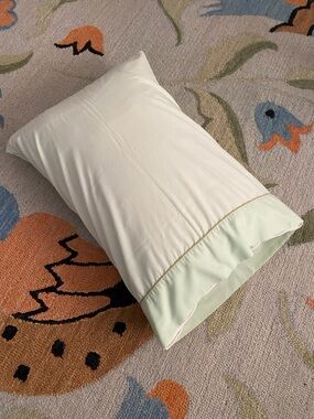 70s/80s Dan River(?) Light Green Pastel Pillowcase